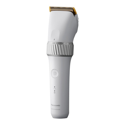 Panasonic 50 silber - 50,