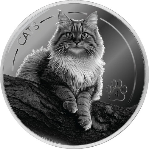 Cents silber fiji fidschi - 50,
